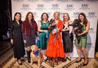 Attendees at AMC's 2023 Top Dog Gala