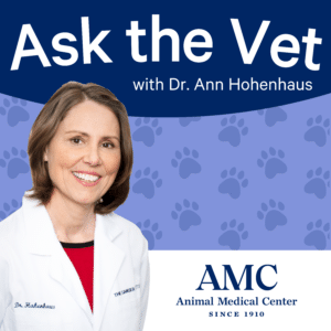 Ask the Vet with Dr. Ann Hohenhaus