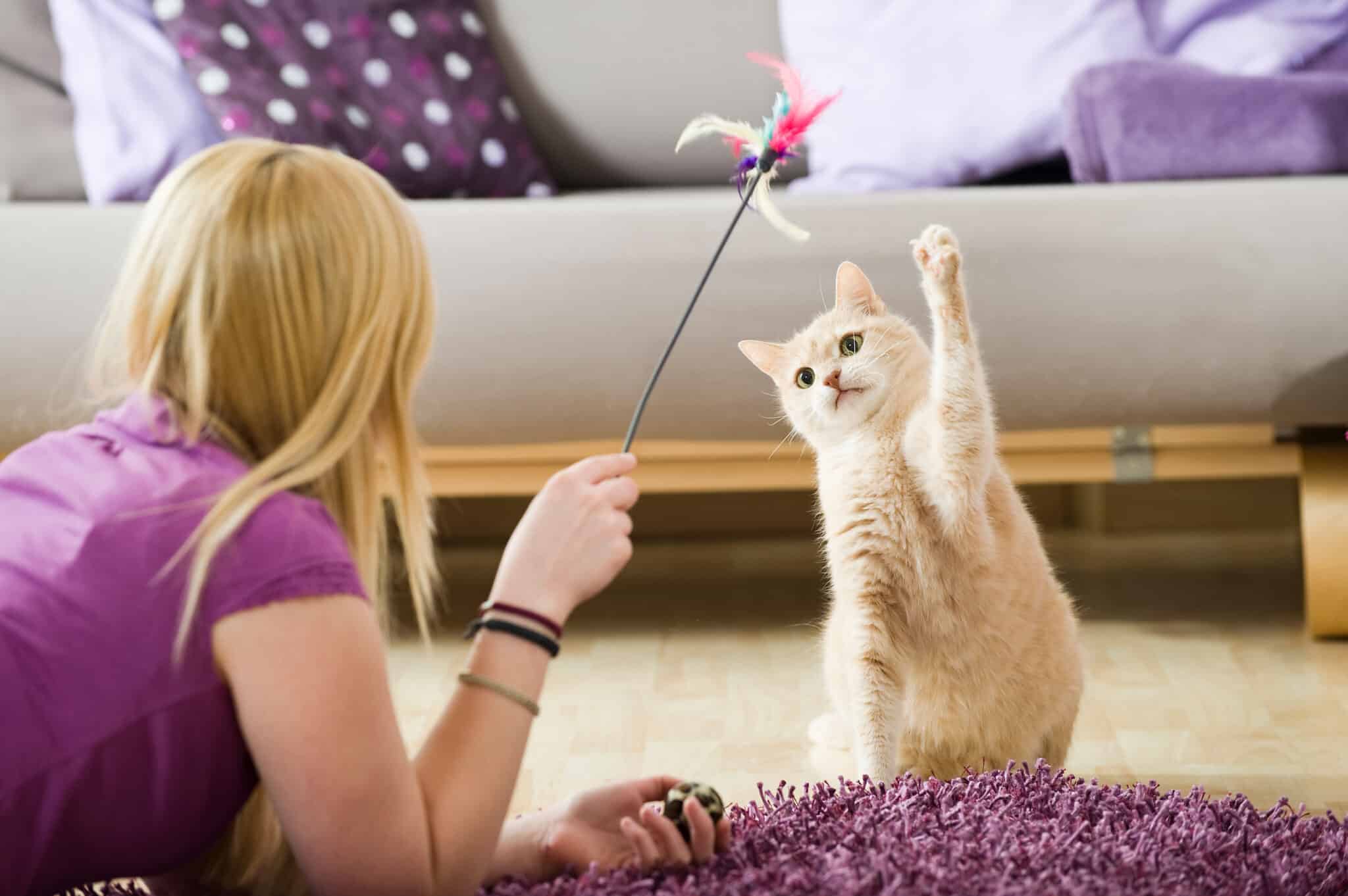 Girl playing with cat using a feather wand.