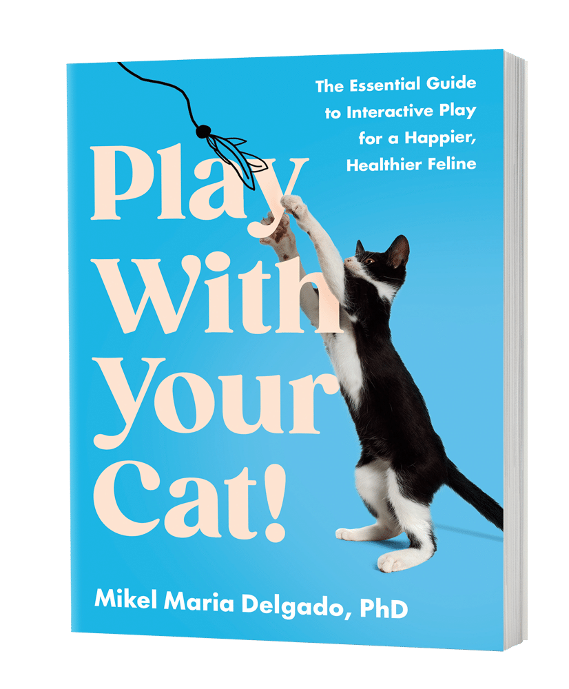 Play With Your Cat! book cover showing a cat playing with a toy.