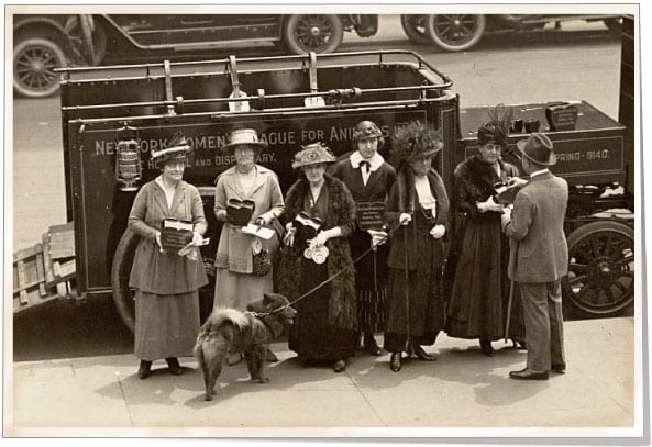 Ellin Prince Speyer and the New York Women's League for Animals in 1914