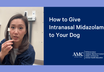 Intranasal Midazollam