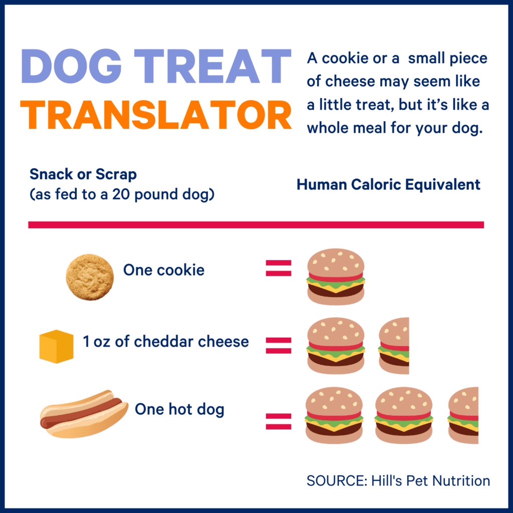 Dog Treat Translator