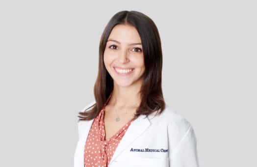 Melissa Salviolo