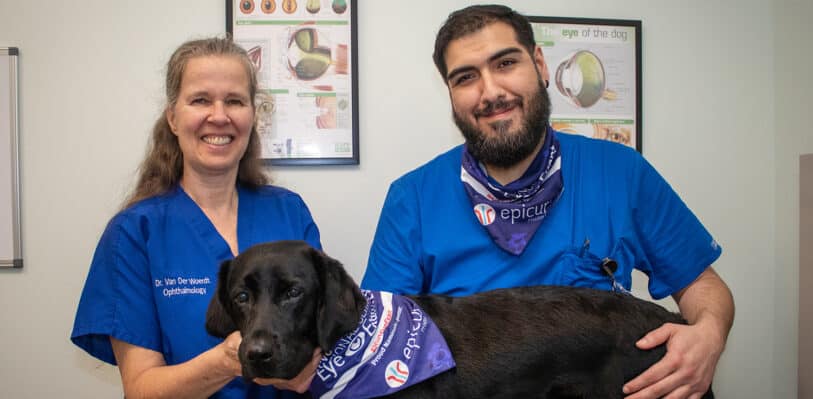 Two veterinary professionals with a seeing eye dog