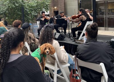 A dog listening to a string quartet