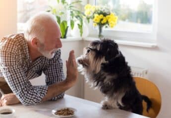 A man feeding his dog
