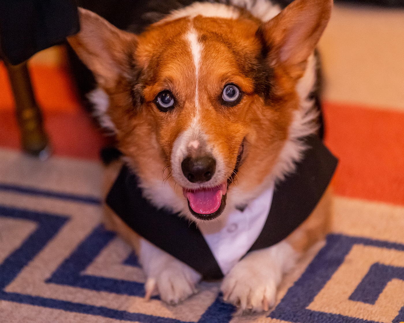 2025 Living Legend, Archie- Photo by Joy Glenn - JOY_4746