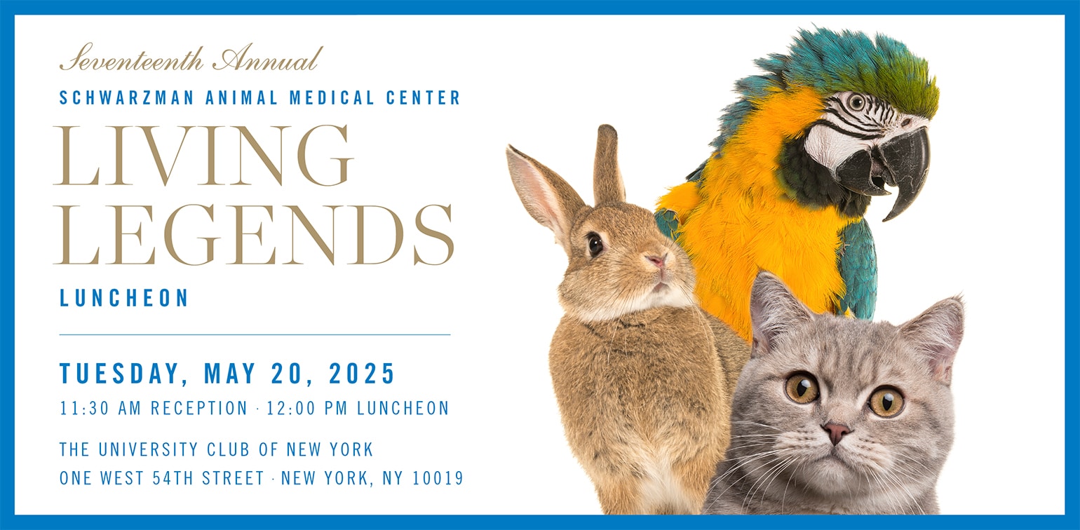 Sixteenth Annual Schwarzman Animal Medical Center Living Legends Luncheon