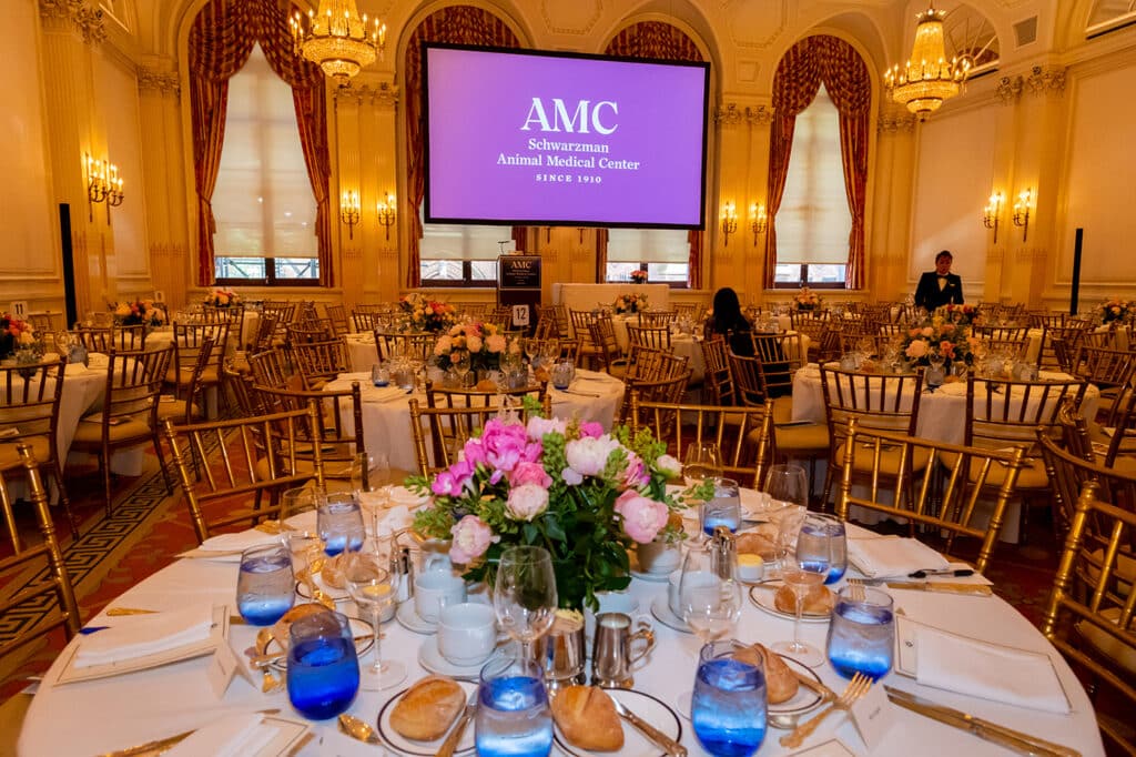 AMC's 2025 Living Legends Luncheon - Photo by Joy Glenn - JOY_4468