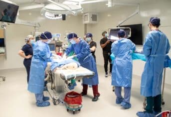 A team of veterinarians perform a surgery