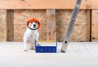 A dog wearing a construction hat