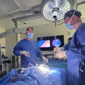 Veterinary professionals performing a minimally invasive surgical procedure