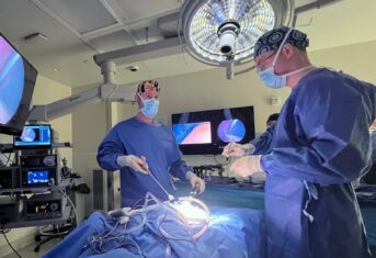 Veterinary professionals performing a minimally invasive surgical procedure