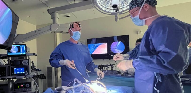 Veterinary professionals performing a minimally invasive surgical procedure
