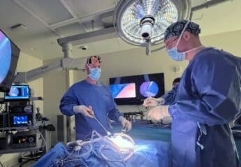Two veterinarians perform a minimally invasive procedure