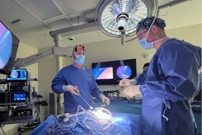 Two veterinarians perform a minimally invasive procedure