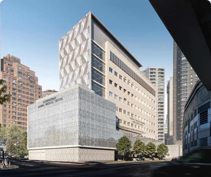 Building the Animal Hospital of the Future