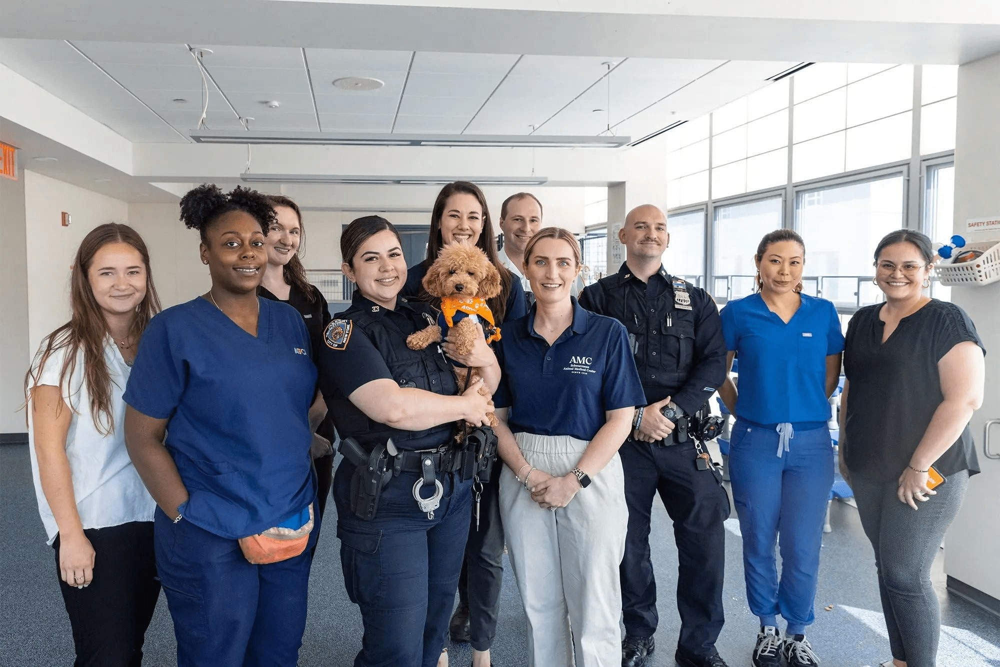 NYPD cops who rescue poodle thrown from ledge