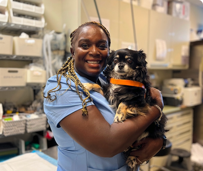 AMC staff member holding dog