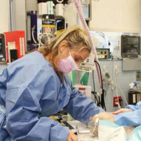 Anesthesia at AMC