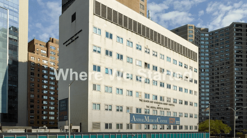 AMC Surgeons in the Denise and Michael Kellen Institute for Surgical Care