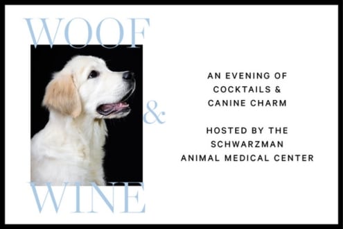 Woof & Wine: An evening of cocktails & canine charm hosted by the Schwarzman Animal Medical Center