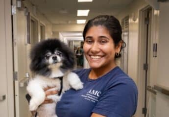 A veterinary professional with a small dog