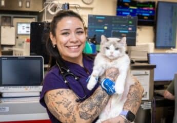 A licensed veterinary technician with a cat