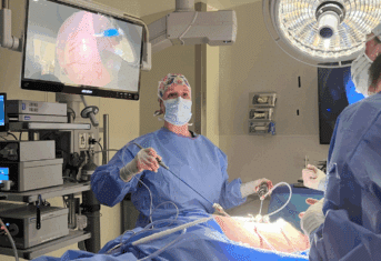 A veterinarian performing a surgical procedure