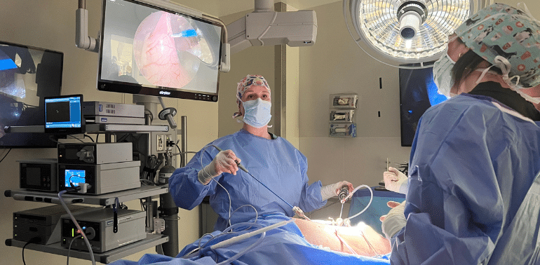 A veterinarian performing a surgical procedure