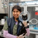 Rescue cat in AMC's ICU