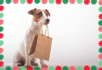 A dog with a shopping bag and a festive, holiday border