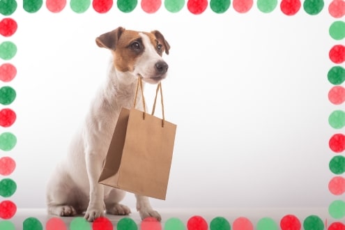 A dog with a shopping bag and a festive, holiday border