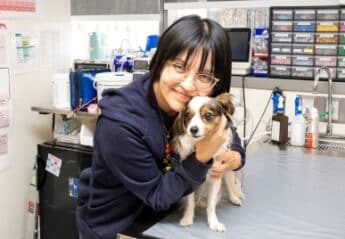A veterinary professional hugging a dog