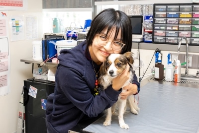 Dia Mundial da Saúde Mental de 2025: animais de estimação, cuidadores e bem-estar veterinário Dia Mundial da Saúde Mental de 2025: animais de estimação, cuidadores e bem-estar veterinário