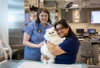 Vet techs at AMC holding a white cat