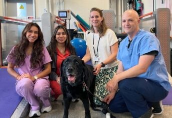 AMC's Veterinary Technician Educators and Veterinary Technician Interns